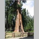 20060822_22Sequoia_014 copia.jpg